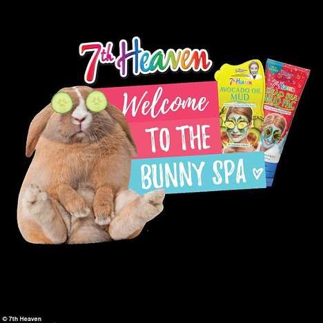 Pop-Up Bunny Spas