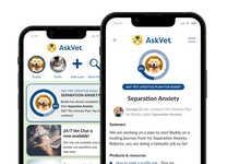 Virtual Veterinarian Services