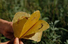 Seeded Biodegradable Toilet Paper
